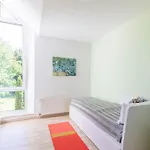 Suennslag 025 